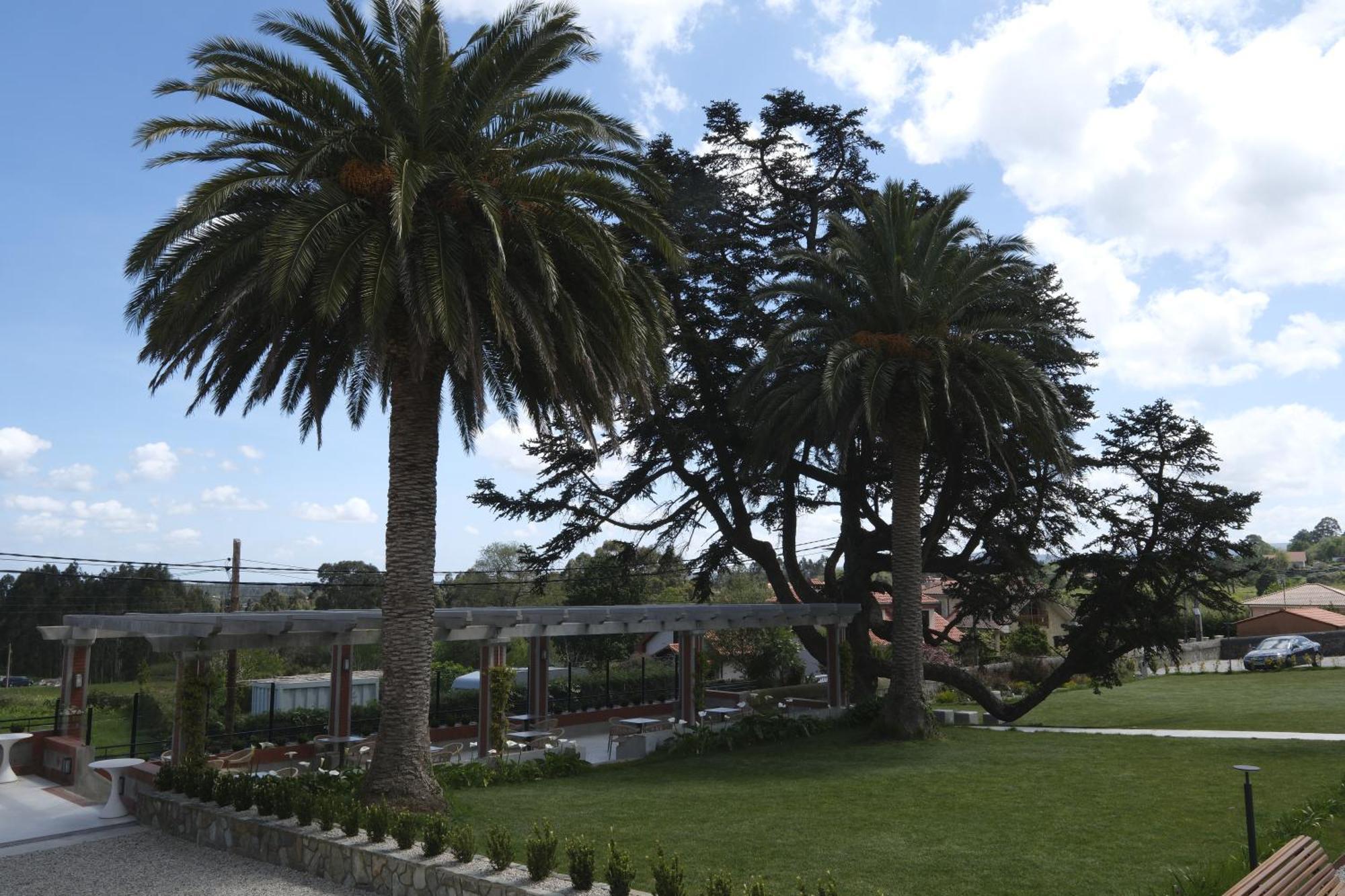 Hotel El Rosal De Cudillero Eksteriør billede